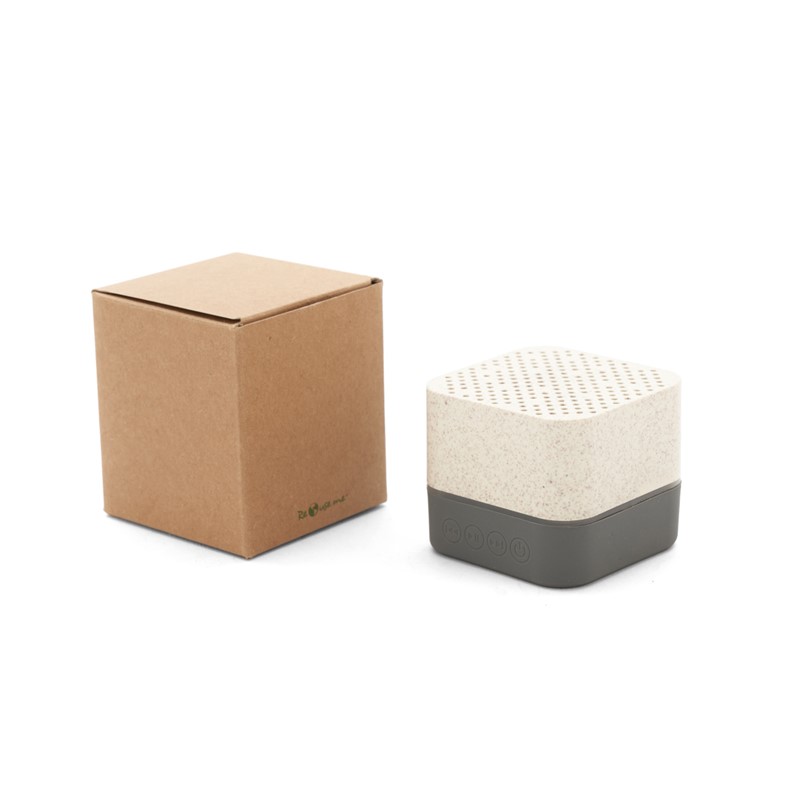 Parlante Wireless Earth